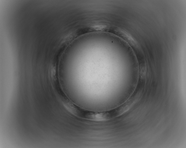 X0000110670365200906191350