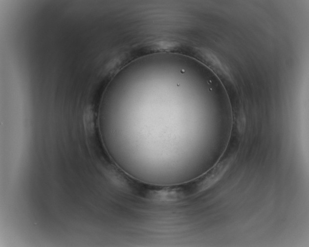 X0000110670366200906191350