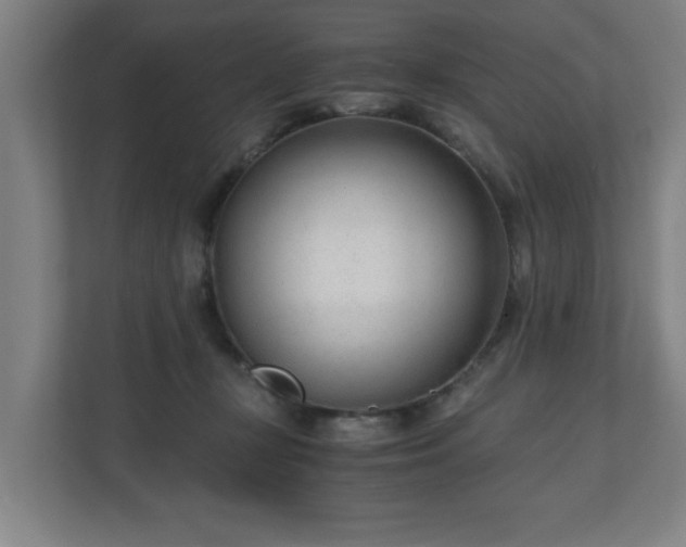 X0000110670367200906191350