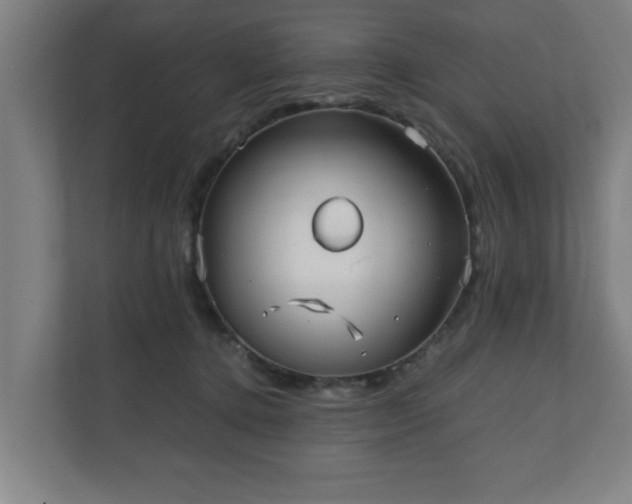 X0000110670368200906191350