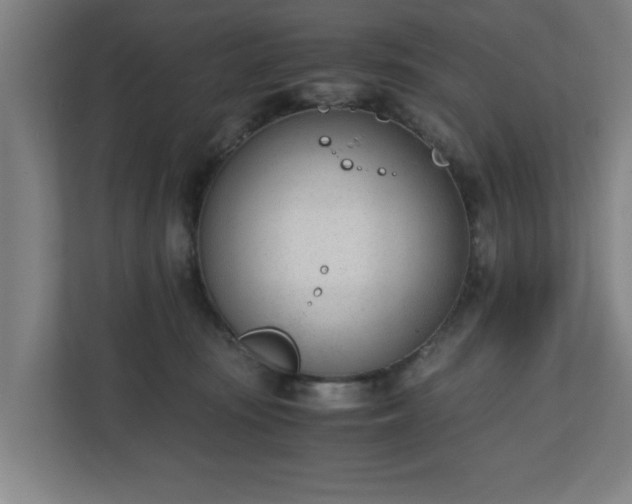 X0000110670371200906191350