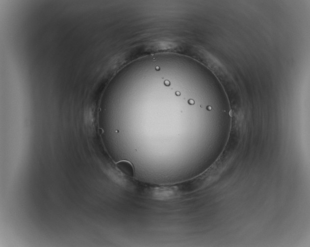 X0000110670373200906191350