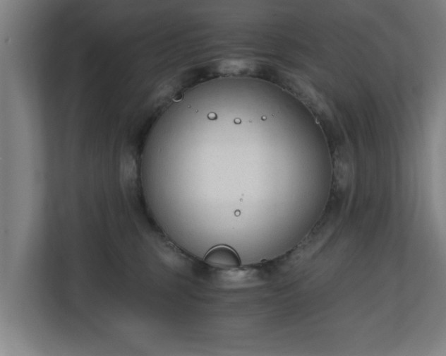 X0000110670375200906191350