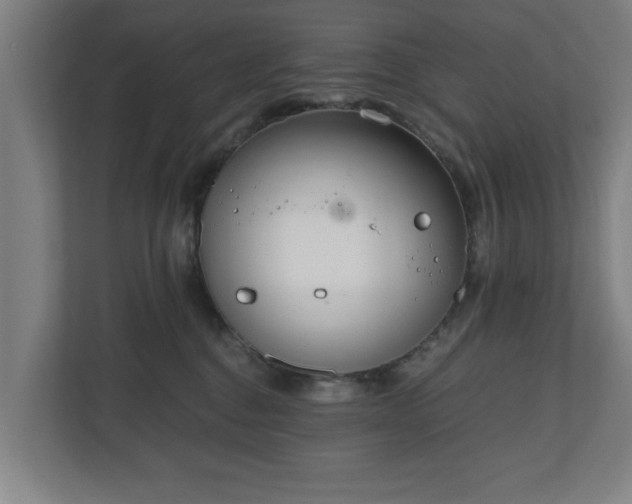 X0000110670376200906191350