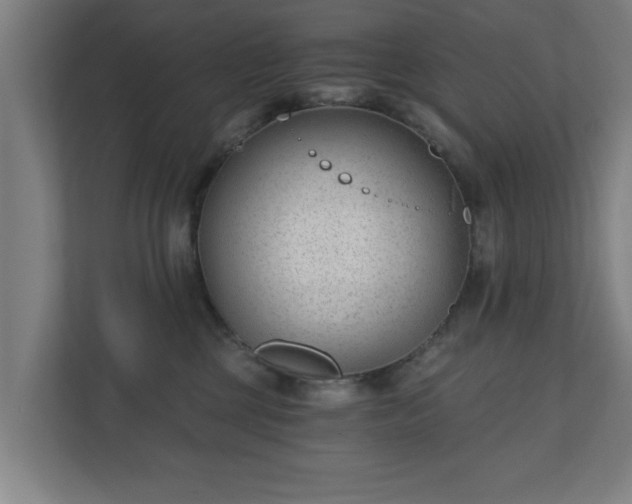 X0000110670377200906191350