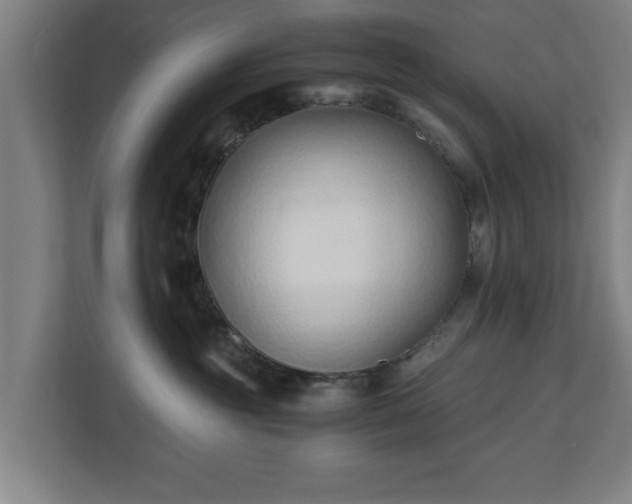 X0000110670381200906191350
