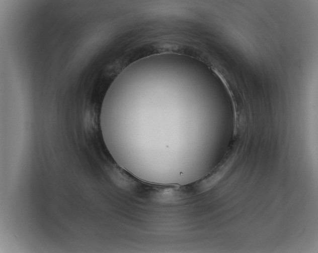 X0000110670382200906191350