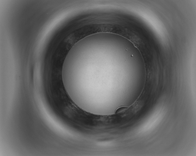 X0000110670383200906191350