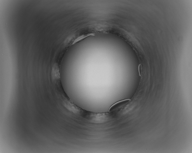X0000110670384200906191350