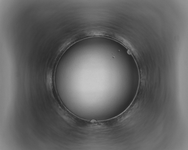 X0000110670386200906191349