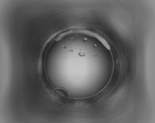 X0000110670388200906191349