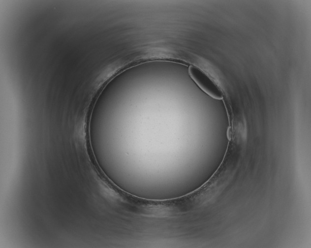 X0000110670389200906191349