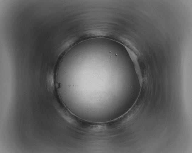 X0000110670398200906191349