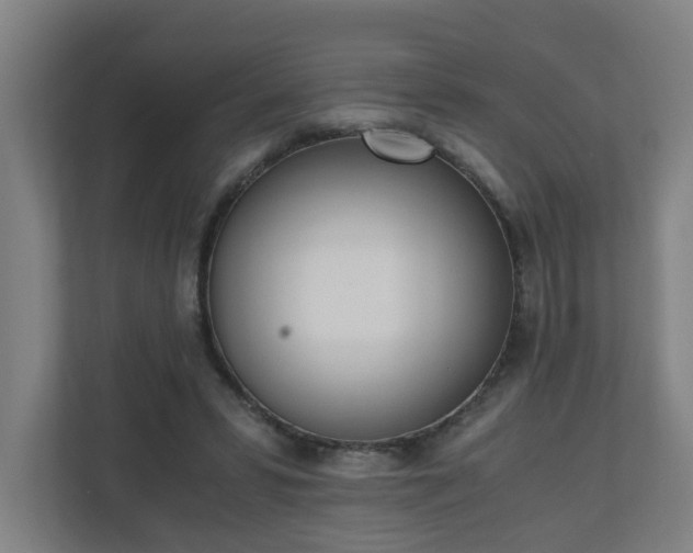 X0000110670399200906191349