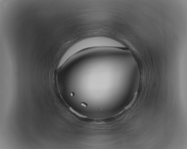 X0000110670403200906191349