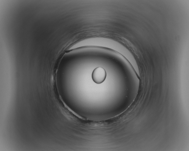 X0000110670405200906191349