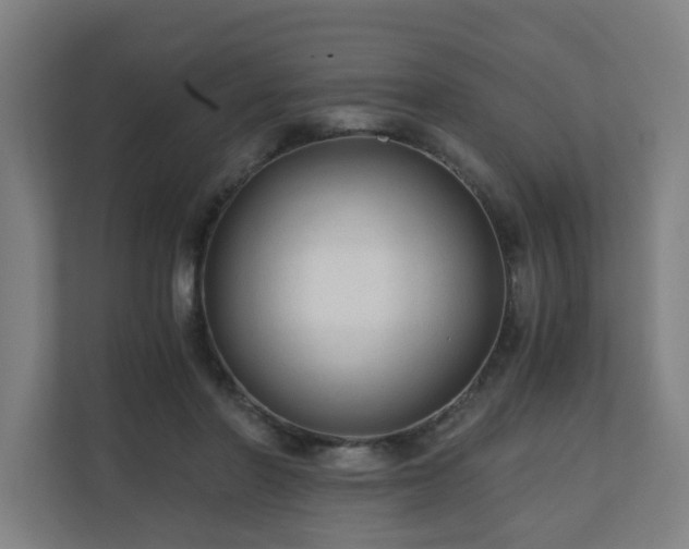 X0000110670406200906191349