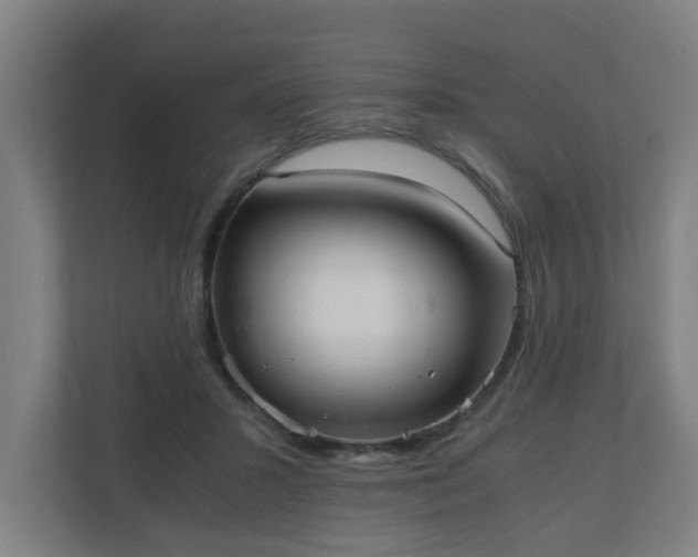 X0000110670407200906191349