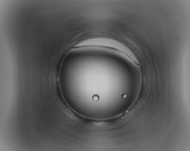 X0000110670409200906191349