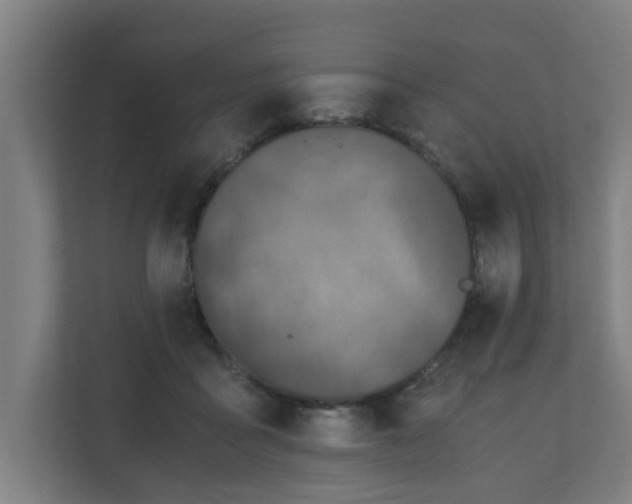 X0000110670411200906191349
