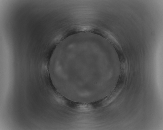 X0000110670415200906191349