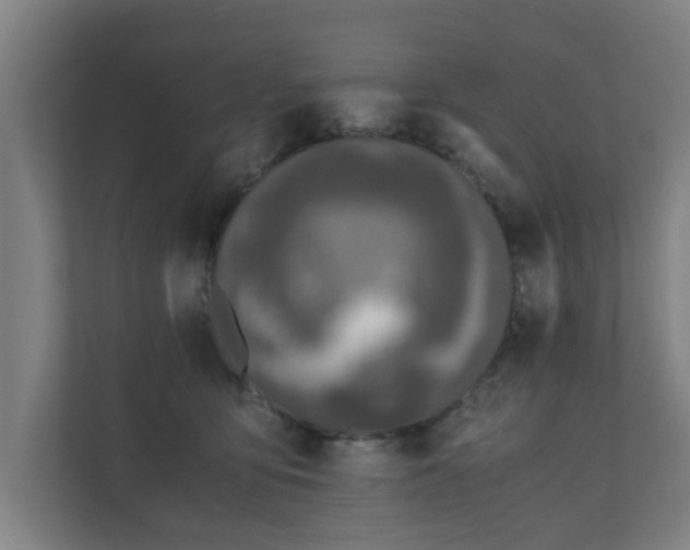 X0000110670419200906191349
