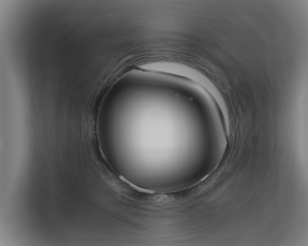 X0000110670421200906191349