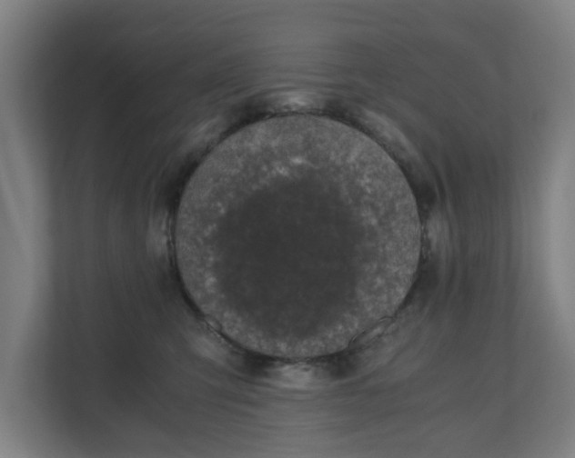 X0000110670423200906191349