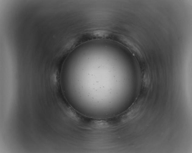 X0000110670424200906191349