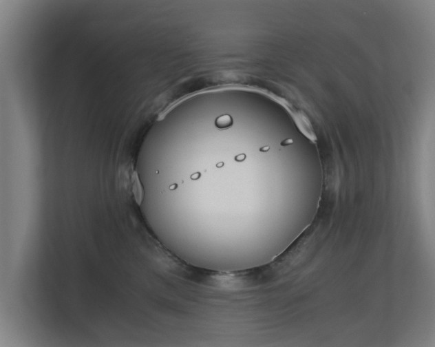 X0000110670425200906191349