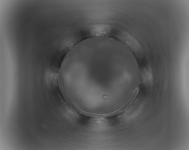 X0000110670427200906191349