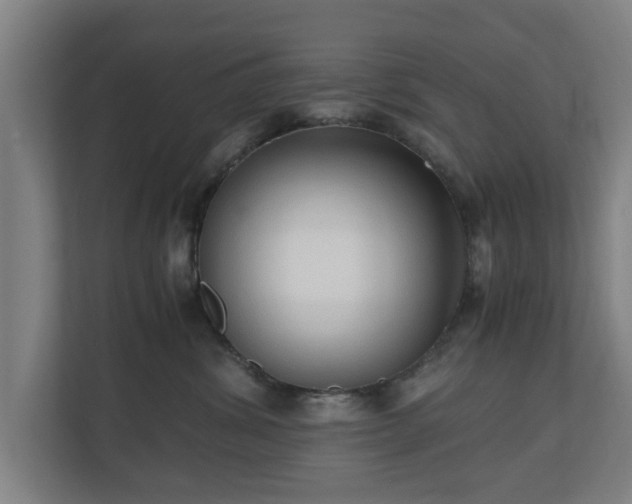 X0000110670428200906191349