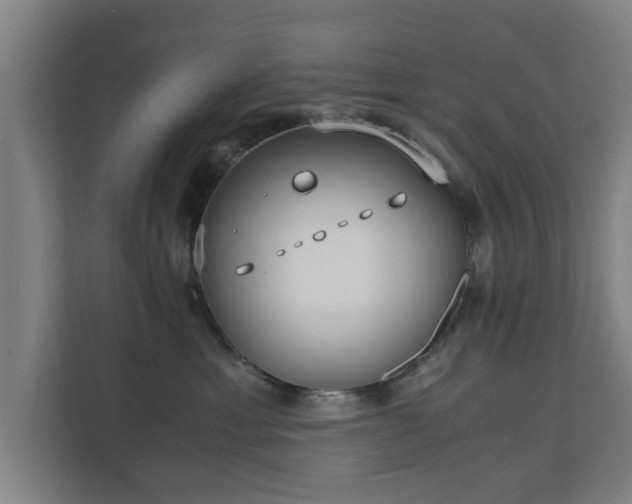 X0000110670429200906191349