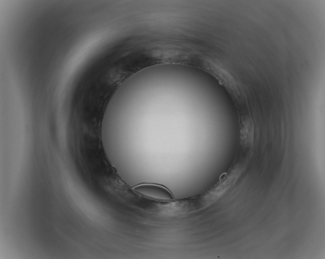 X0000110670430200906191349