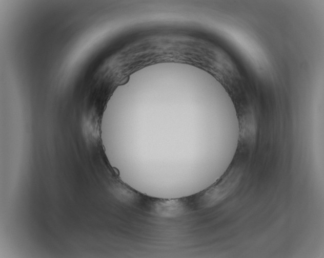X0000110670431200906191349
