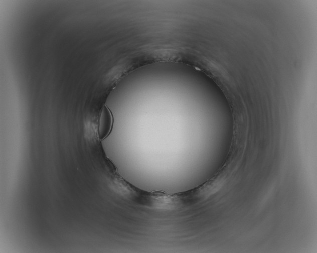 X0000110670432200906191349