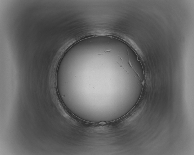 X0000110670433200906191348
