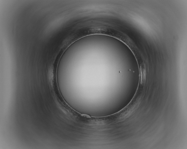 X0000110670435200906191348