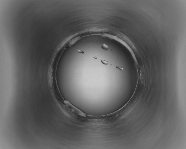 X0000110670436200906191348