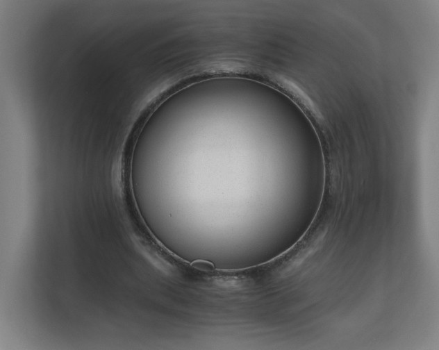 X0000110670439200906191348