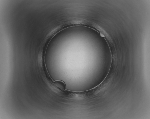 X0000110670442200906191348