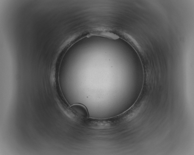 X0000110670443200906191348