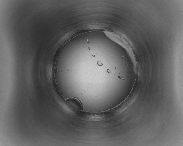 X0000110670445200906191348