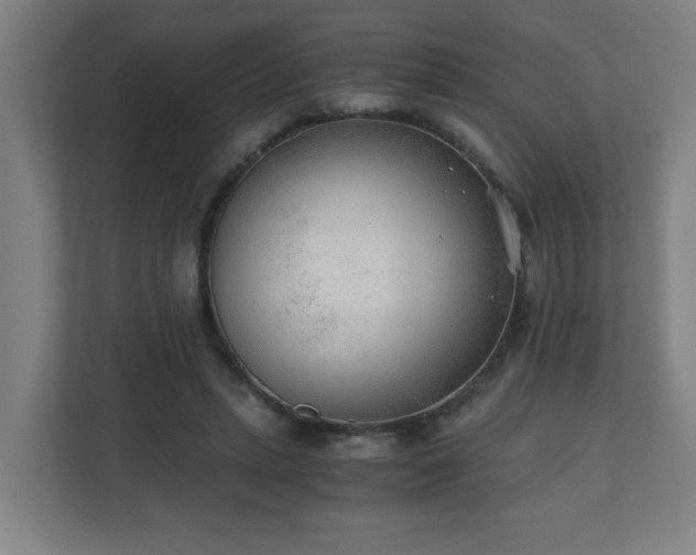 X0000110670447200906191348