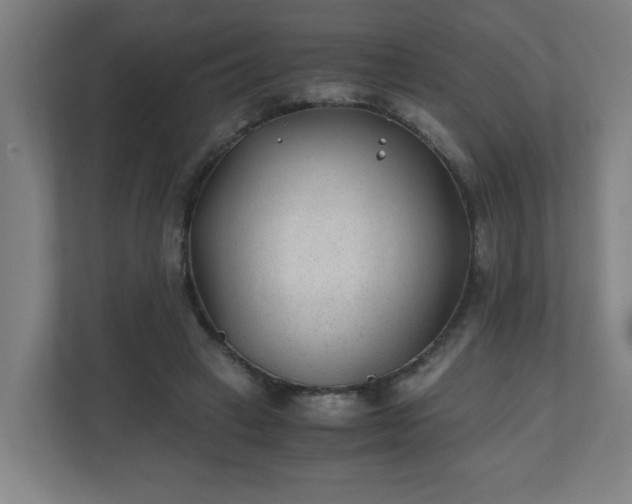 X0000110670449200906191348