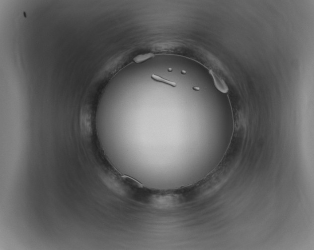 X0000110670452200906191348