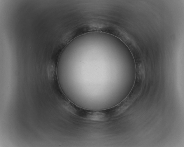 X0000110670463200906191348