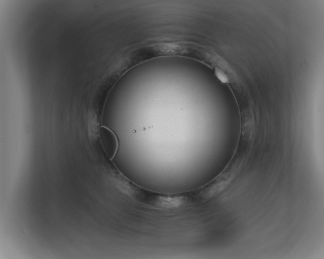 X0000110670469200906191348