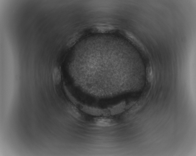 X0000110670471200906191348