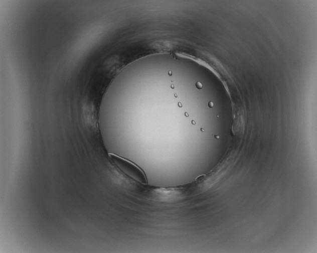 X0000110670477200906191349